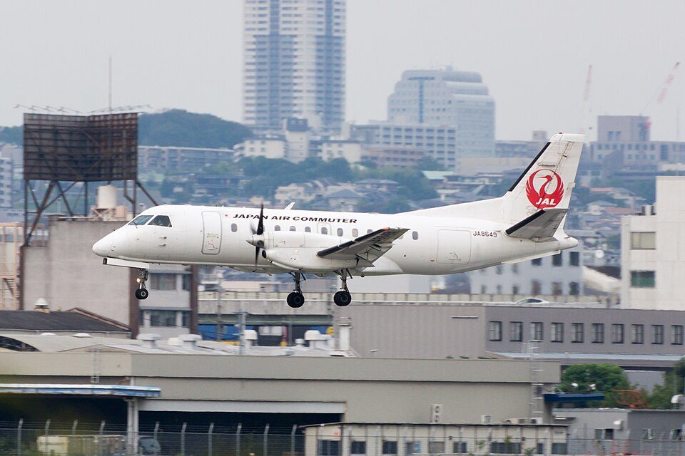 A Snake Slithered Under a Plane's Carpet and Grounded a Flight in Japan