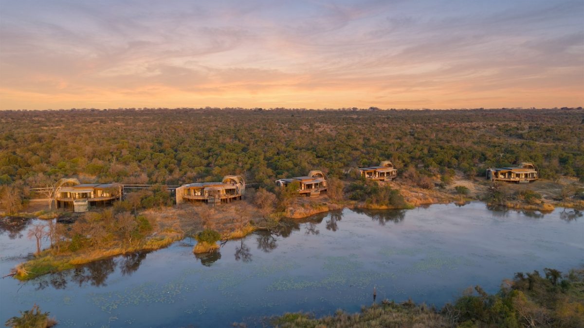 A South African Hunting Ground Becomes Something Wild Again