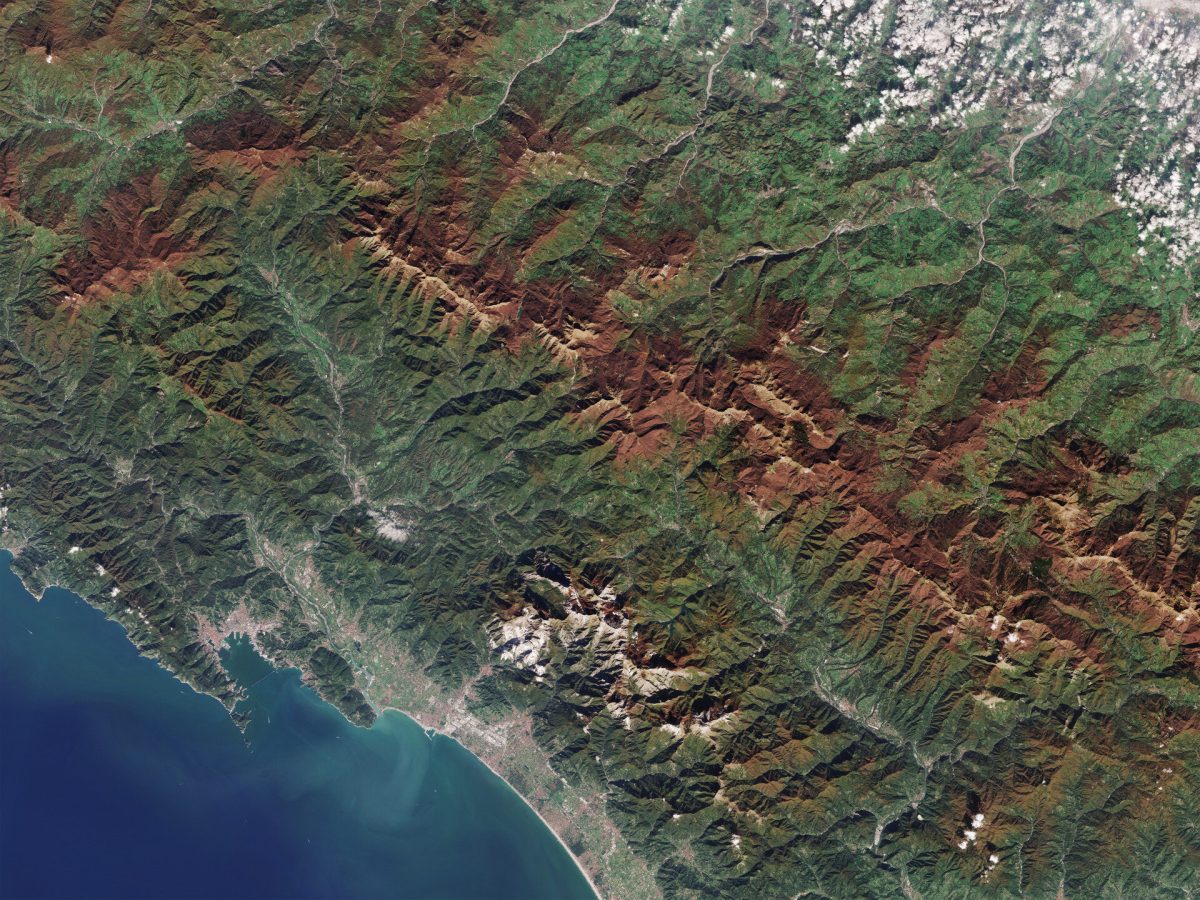 Autumnal forests display vibrant colors from space, bordering a blue coastline.