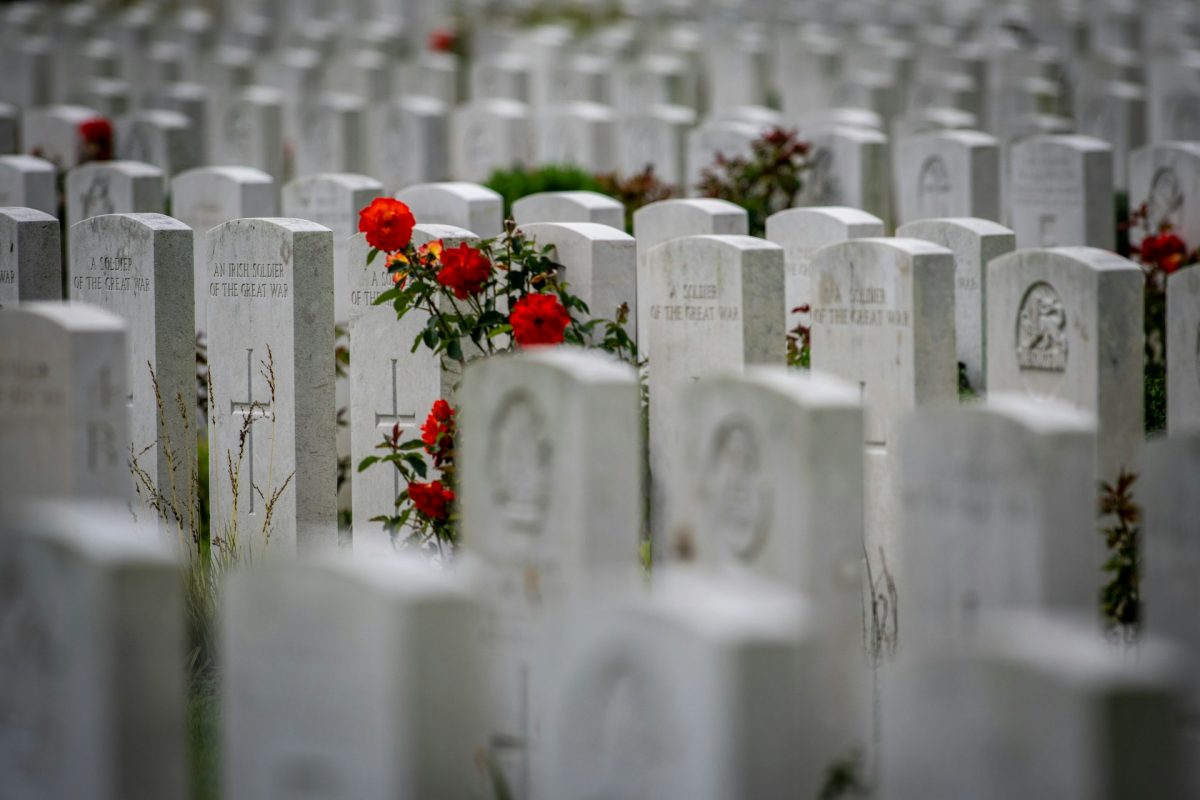 White military cemetery headstones with red flowers among rows of graves