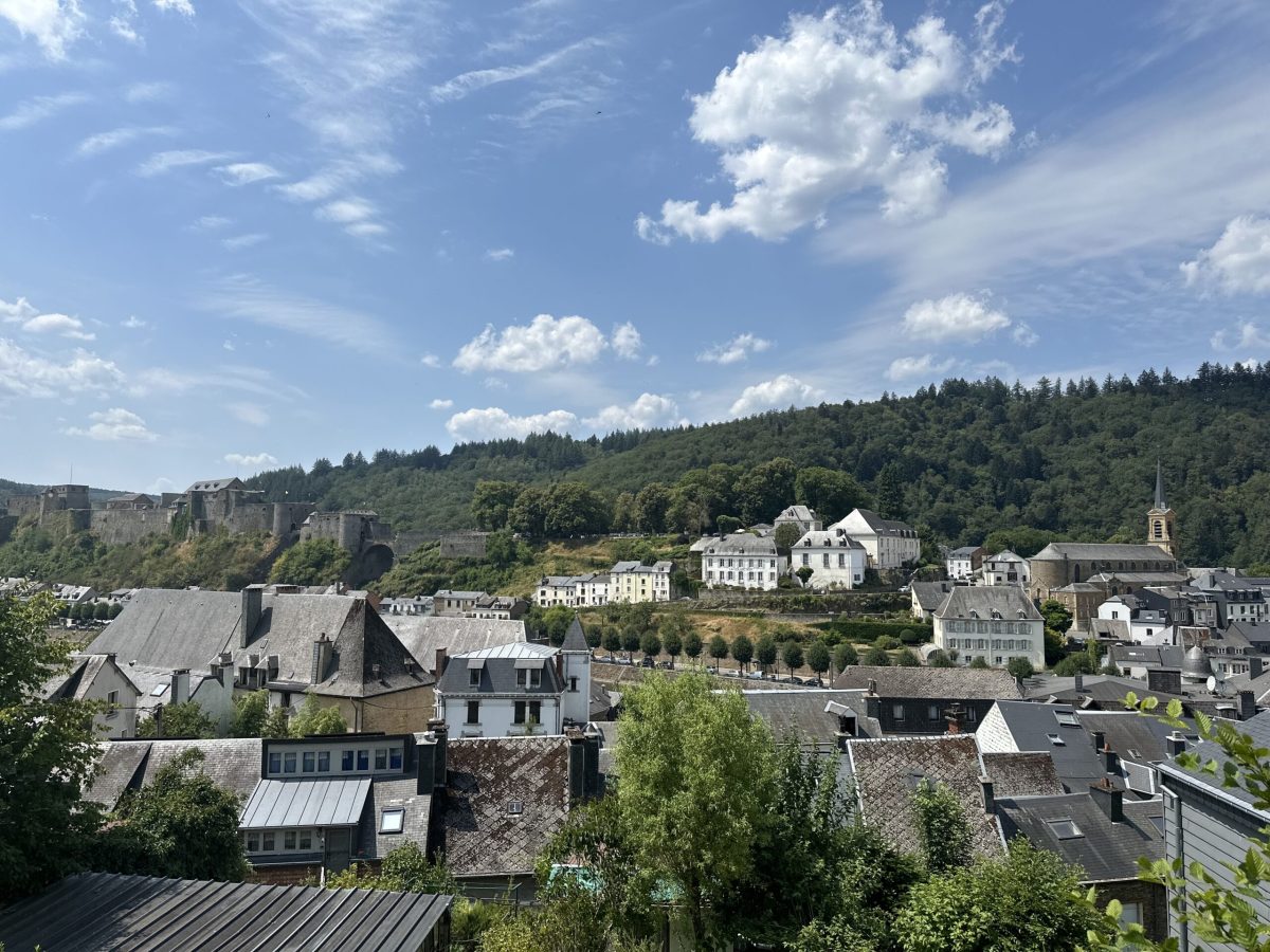 Medieval fortress and stone buildings nestled in a green valley with forested hillsides