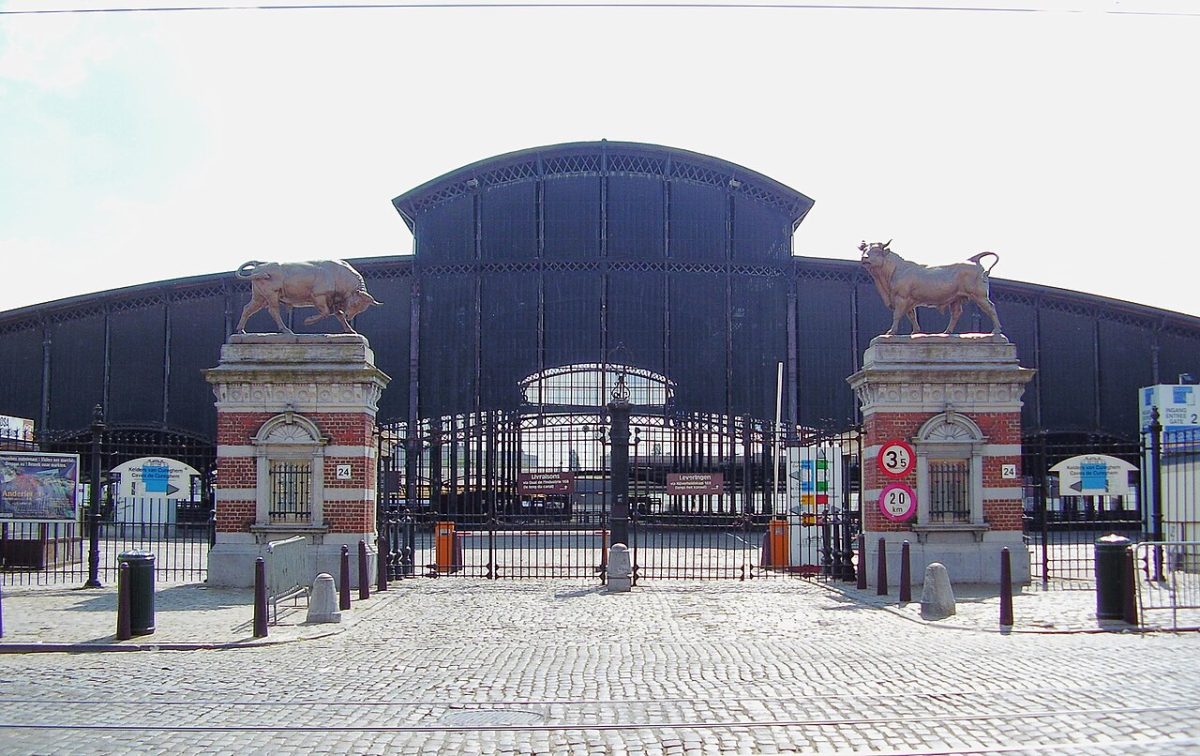 Brussels is finally getting an outdoor pool, but first comes the long wait
