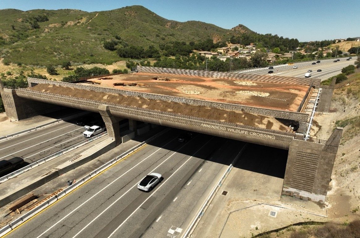 California's Audacious 114 Million Dollar Bridge for Animals Opens in 2026