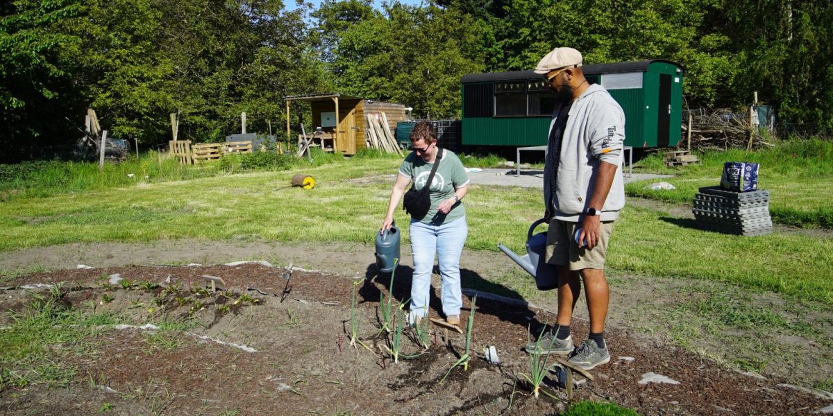 Community members gardening together in an urban green space with tools and raised beds