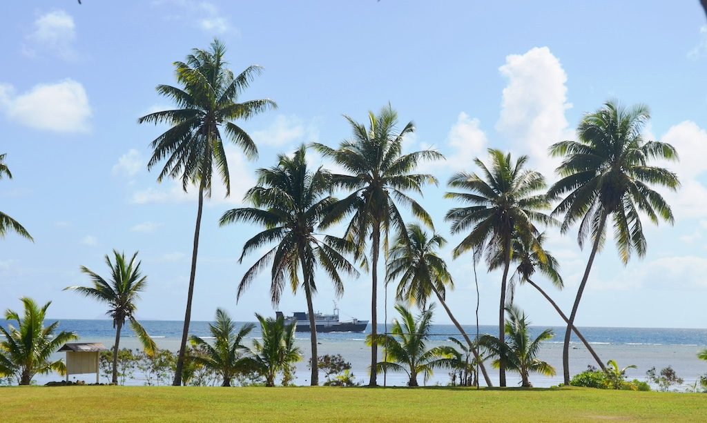 Palm trees line a pristine beach with calm turquoise waters and a distant cruise ship on the horizon