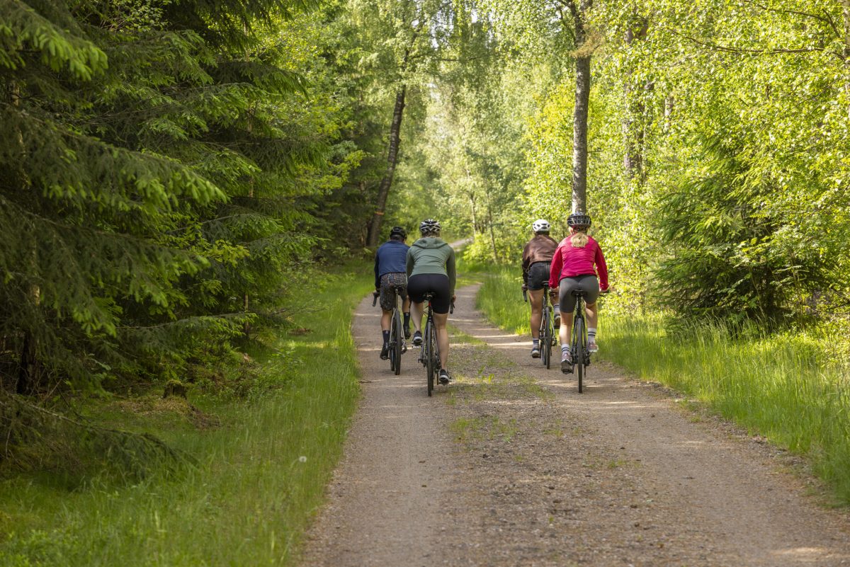 Cyclists riding on a tree-lined forest path in Sweden