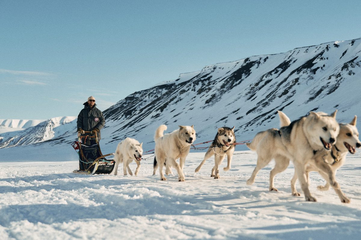 Dog sled team traversing snowy Arctic landscape with snow-covered mountains in background