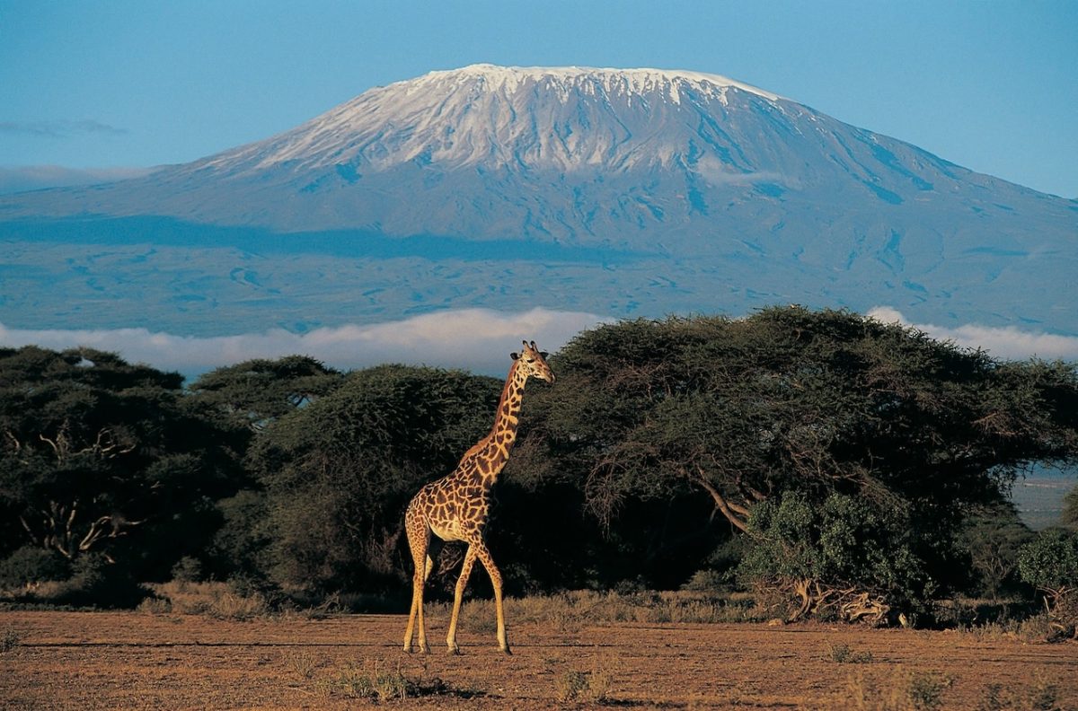 Europe's Airlines Are Finally Making Kilimanjaro Easy to Reach