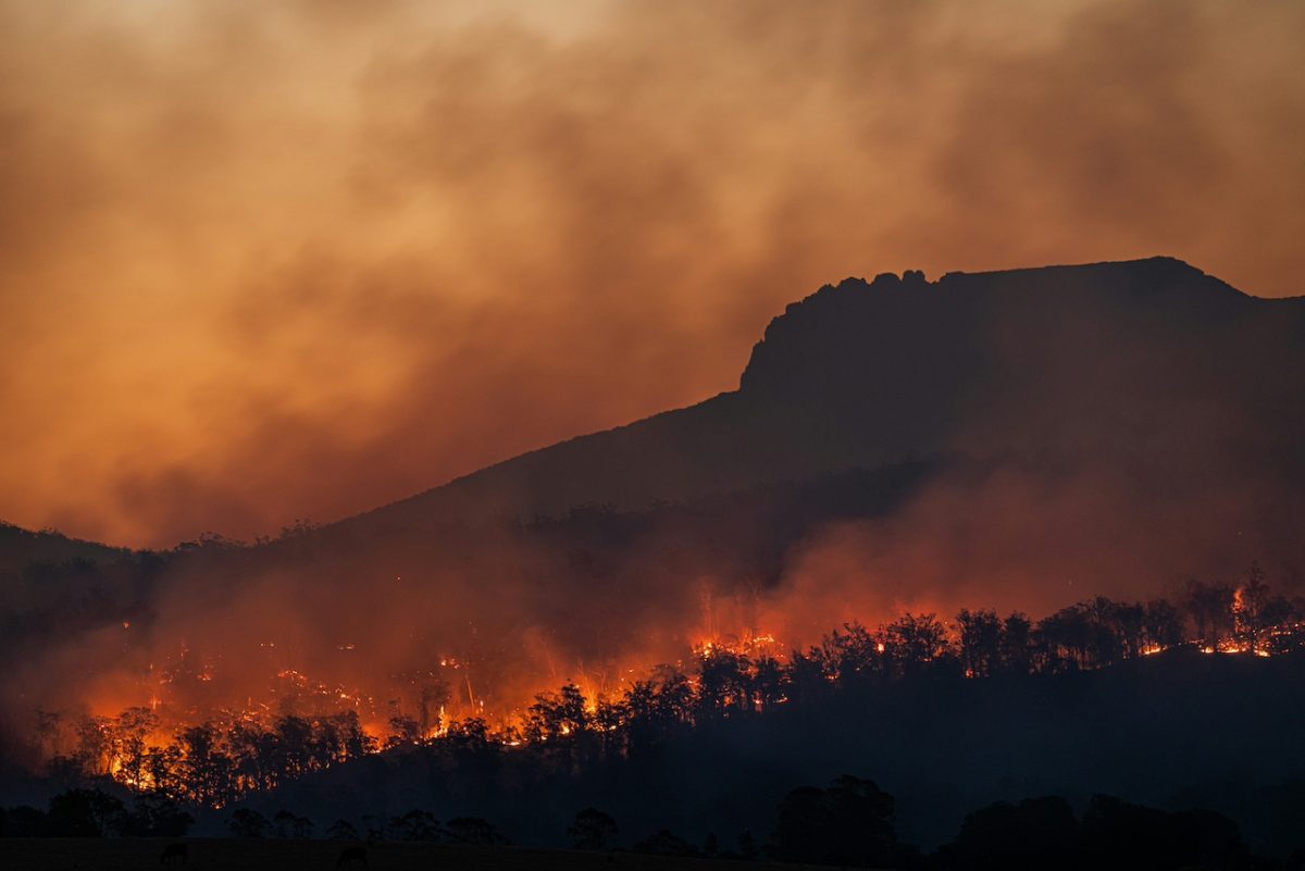 Europe's Summer Wildfires Are Getting Exponentially More Dangerous, and Travelers Need to Know