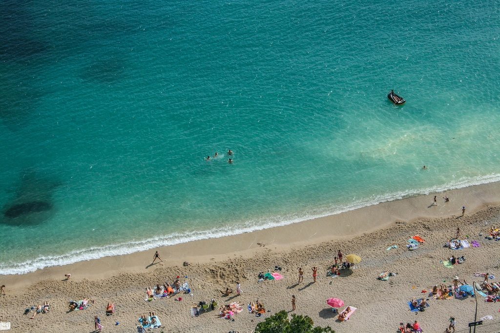 Europe's warming seas are hosting an uninvited guest this summer