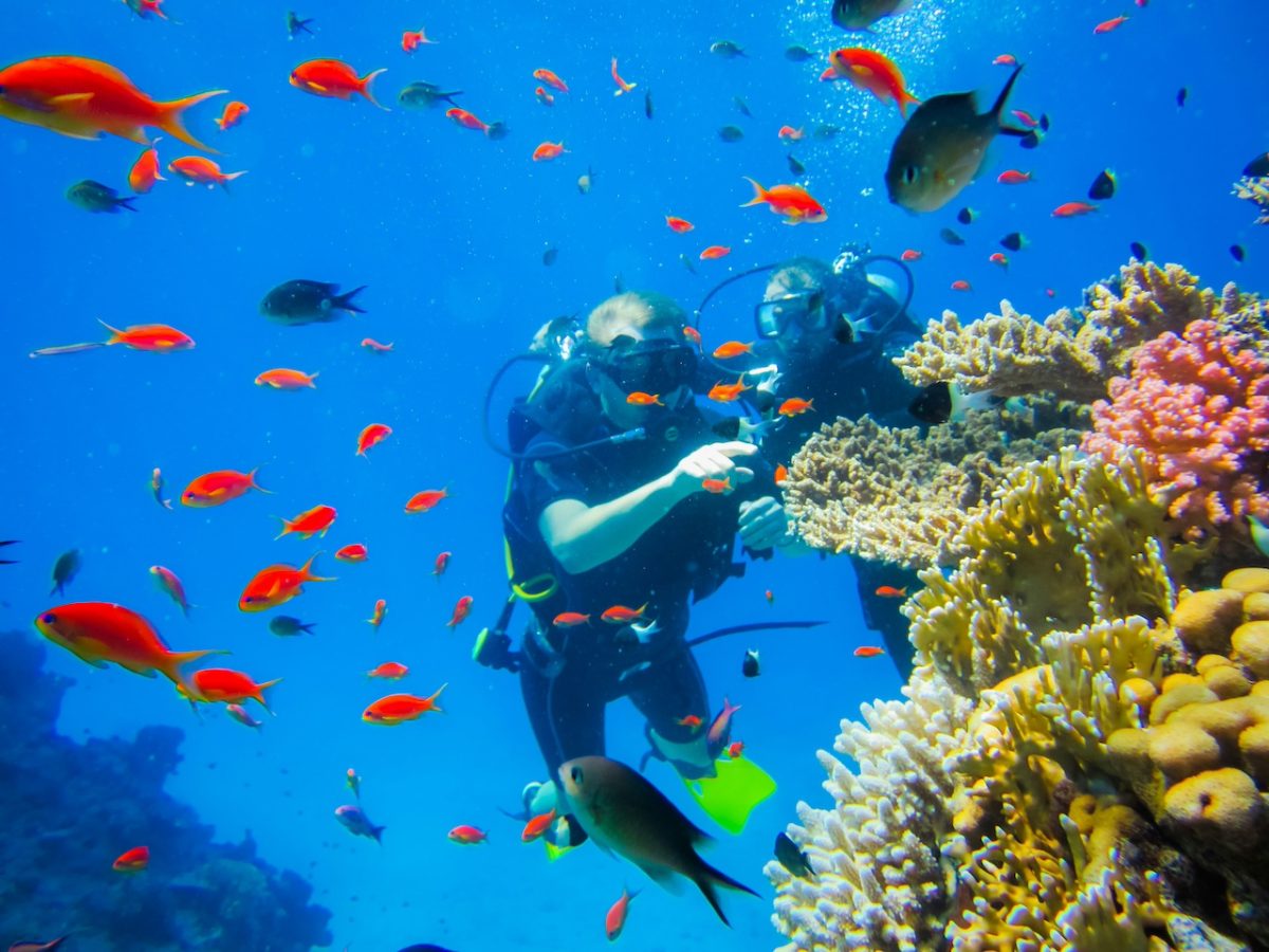 Five Ocean Scientists Lost in Maldives Cave Dive Gone Wrong