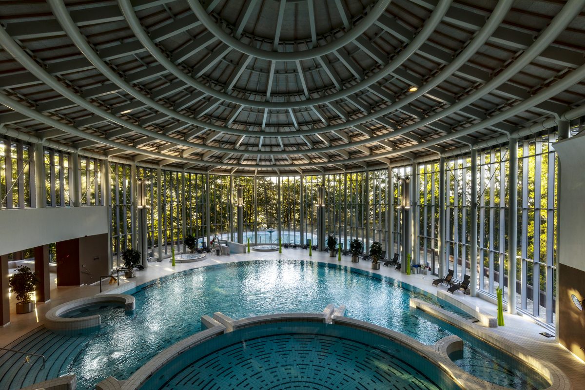 Grand indoor swimming pool with arched glass ceiling and forest views