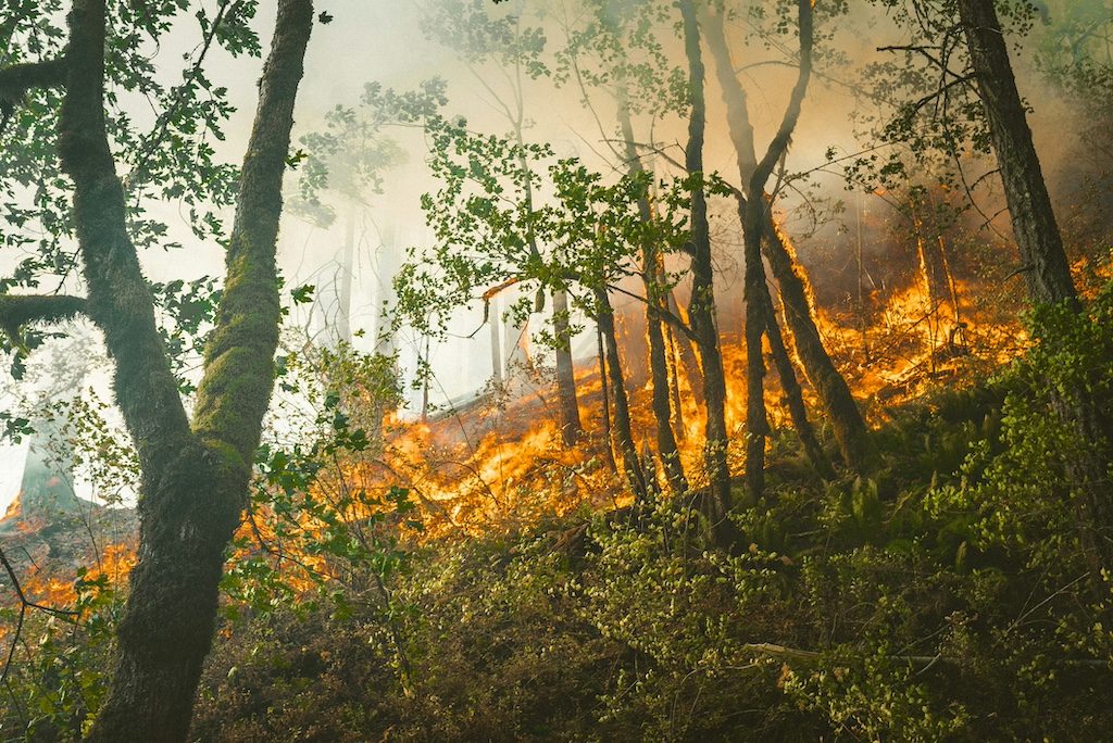 Greece's Summer Wildfire Crisis Is Reshaping Travel Plans Across Europe