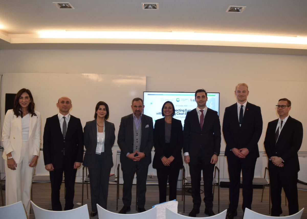 Group of officials pose during a meeting about energy partnerships.