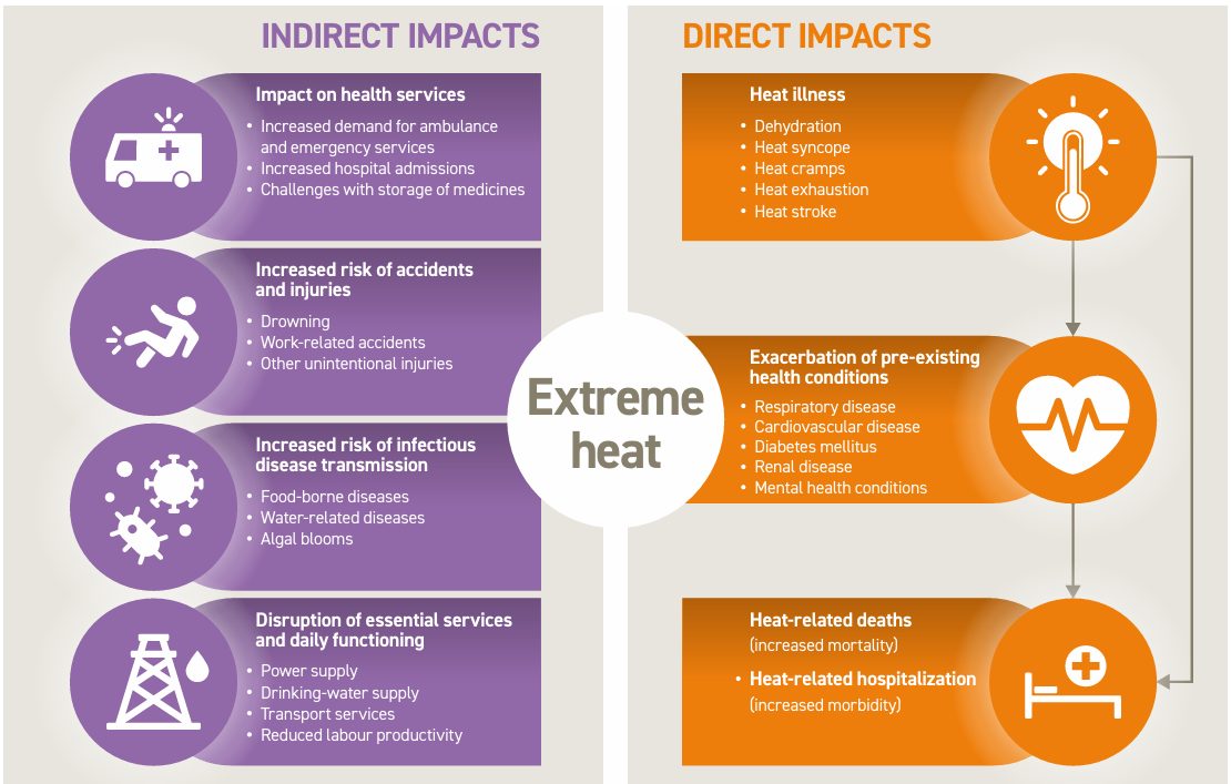 Infographic showing direct and indirect health impacts of extreme heat on European populations