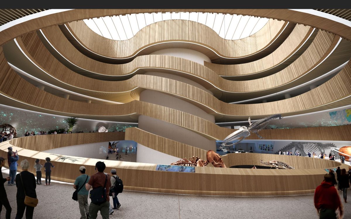 Interior of Shenzhen Natural History Museum with distinctive curved wooden architectural design and skylights