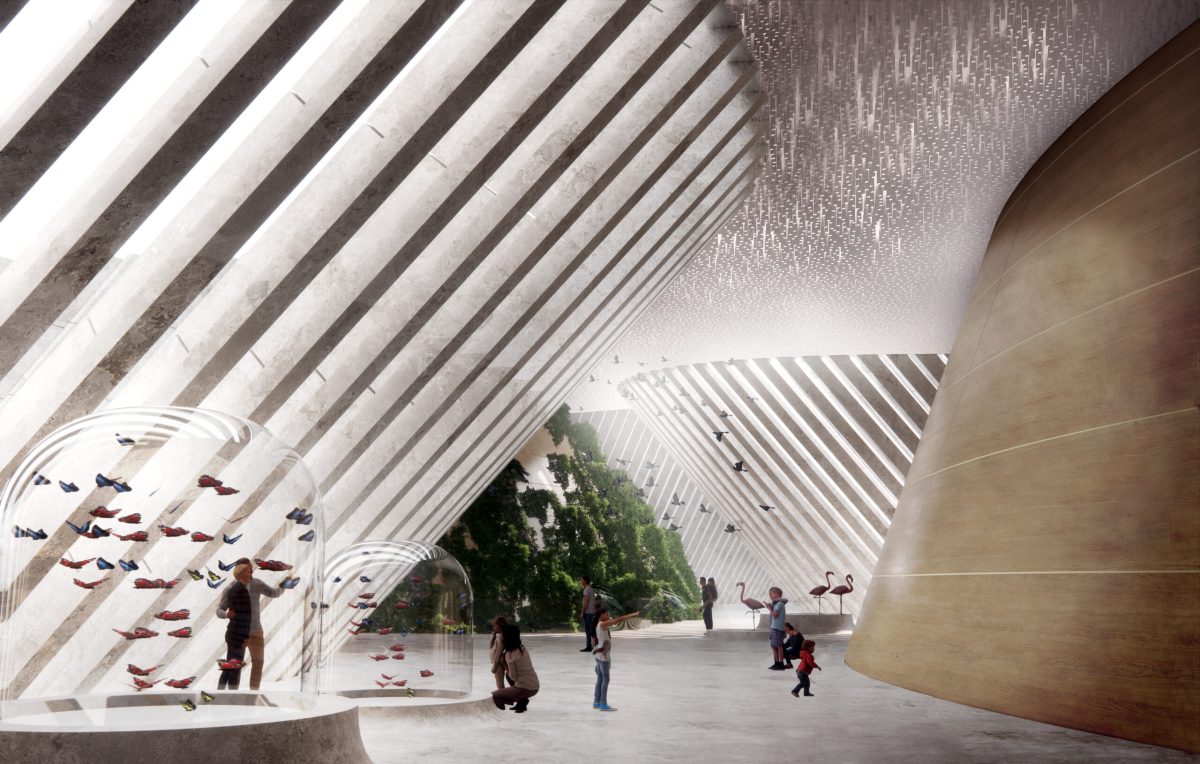 Interior of Shenzhen Natural History Museum with ribbed white ceiling and central atrium