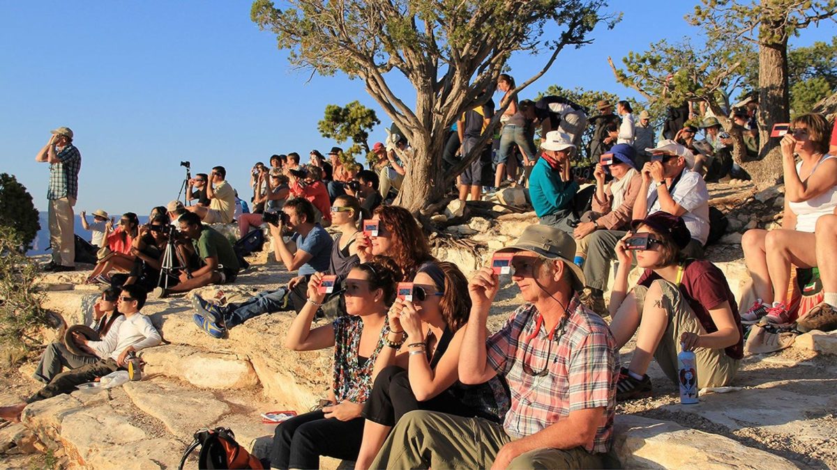 Large crowd of people gathered outdoors under trees watching the sky during daytime