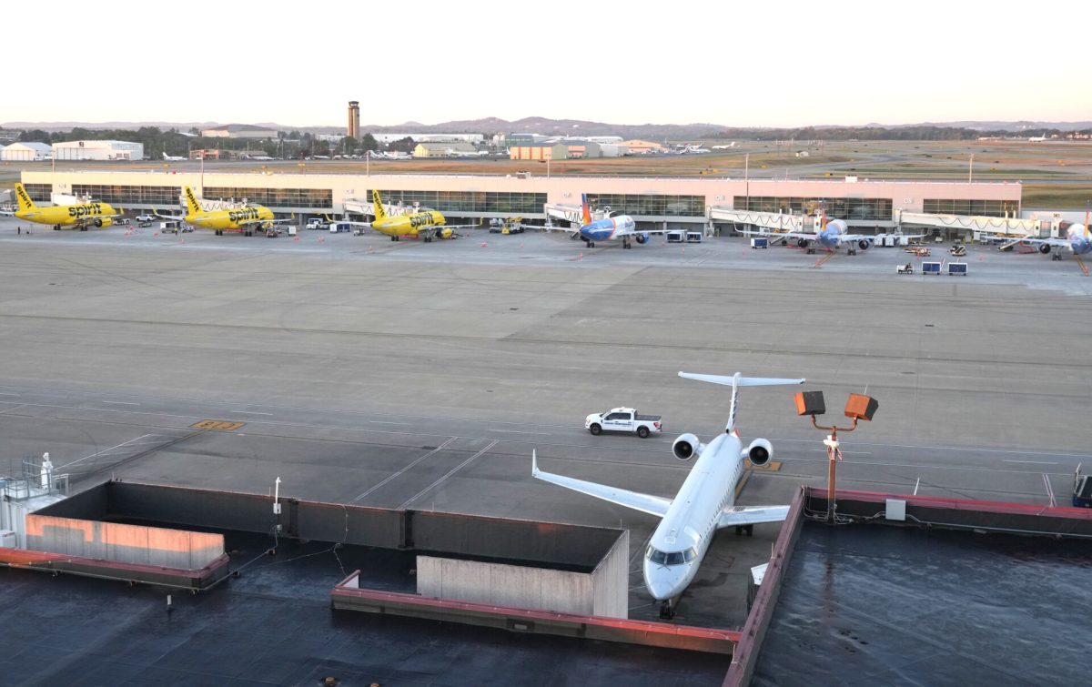 Nashville Airport Could Soon Bear Dolly Parton's Name