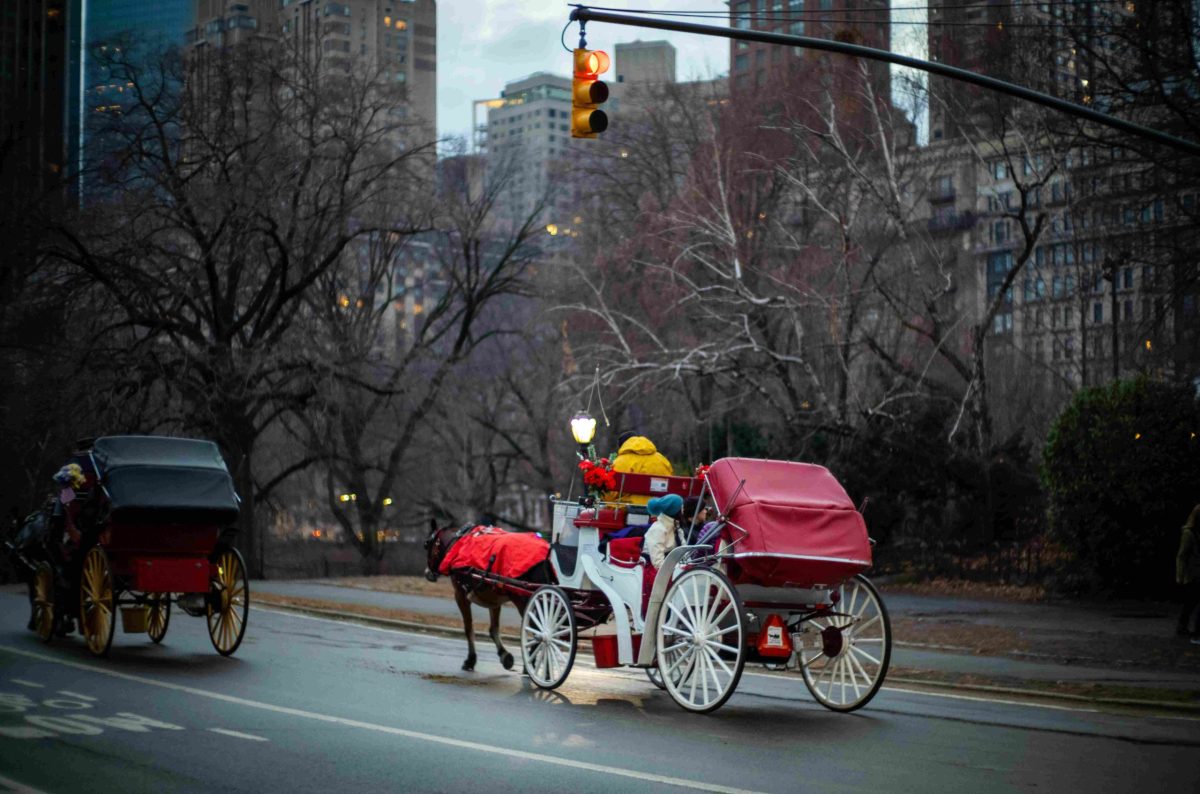 New York's Horse Carriages Are Headed for the Exit in 2028