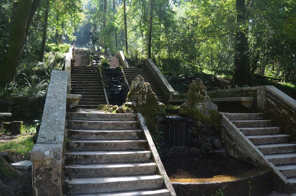 Portugal's Ancient Forest Just Earned Europe's Most Elite Wellness Badge