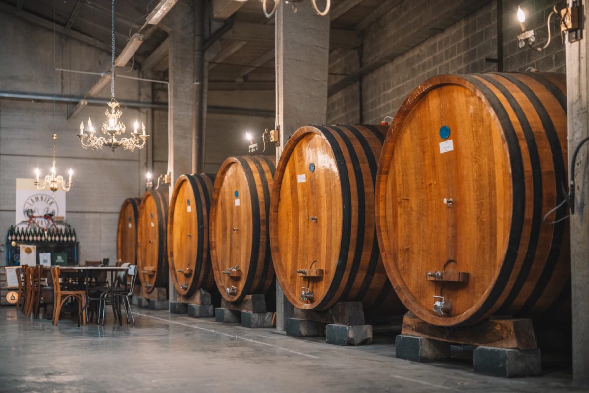 Row of oak barrels aging lambic beer in a traditional brewery cellar.