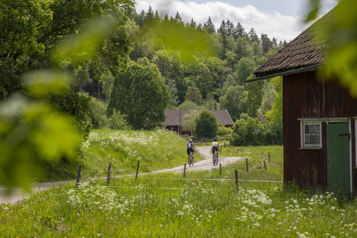 Rural Swedish landscape with wooden barn, green meadow, fence, and forest-covered hills
