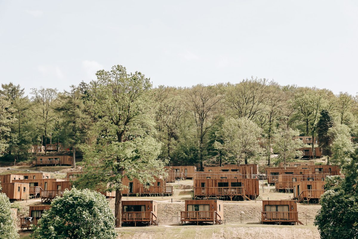 Rustic wooden cabin accommodations nestled among lush green trees at an eco-village