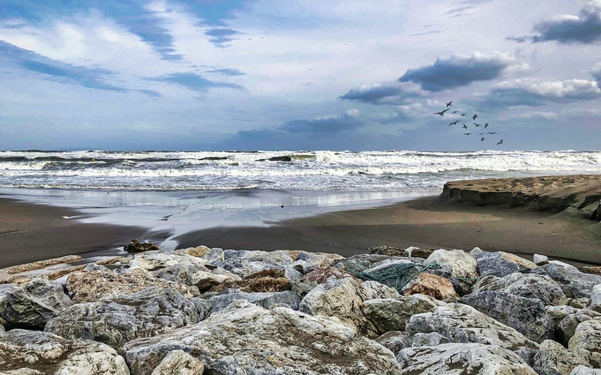 Rocky coastline with waves and stormy sky, birds flying overhead