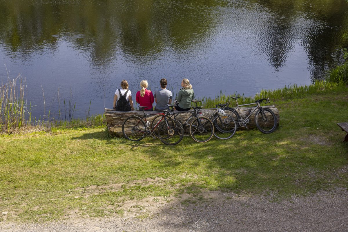 Sweden's 170km wildflower route opens in 2026. Here's what to pack