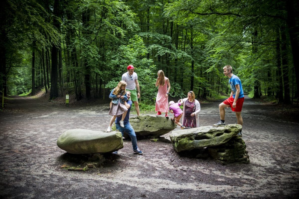 Children playing on moss-covered logs in a forested clearing near Tervuren