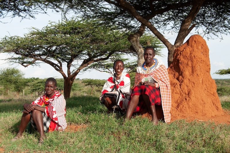 These Kenyan Women Traded Charcoal for Honey and Hope