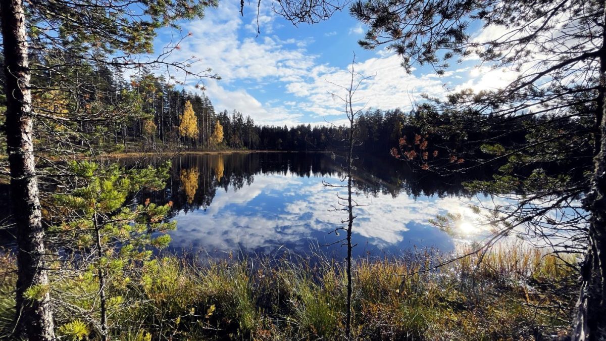Win a Free Week in Finland's Lake Country Without Spending a Dime