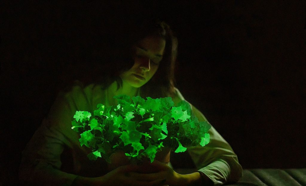 Woman holding glowing bioluminescent plants that emit bright green light in darkness