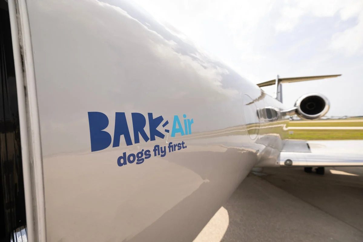 Your Dog Can Now Fly Private and Get a Spa Treatment