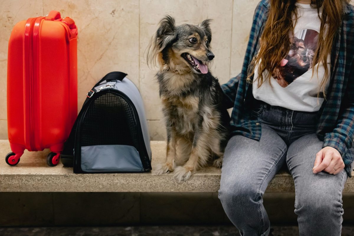 Woman and dog sitting with red suitcase and pet carrier at travel departure point